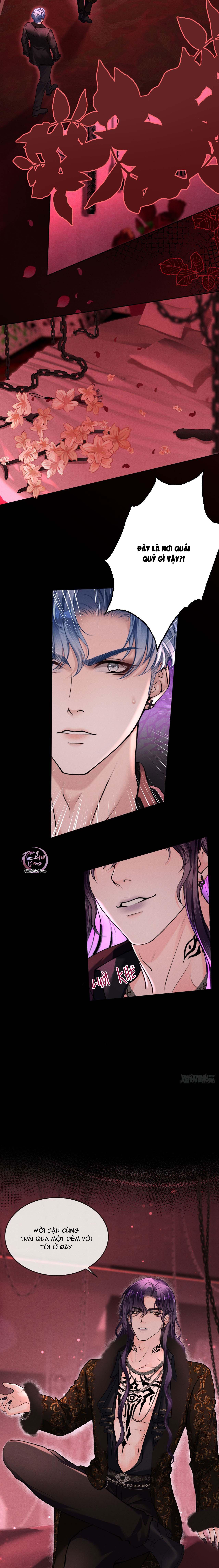 Đọc truyện Lông Vũ Ngược Sáng - Chapter 17