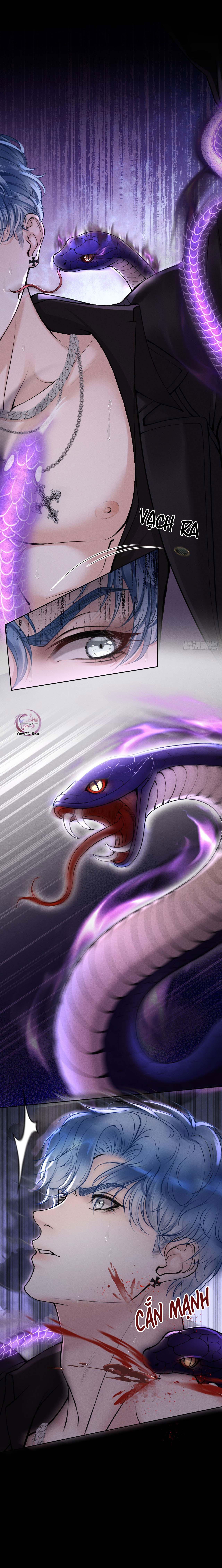 Đọc truyện Lông Vũ Ngược Sáng - Chapter 17