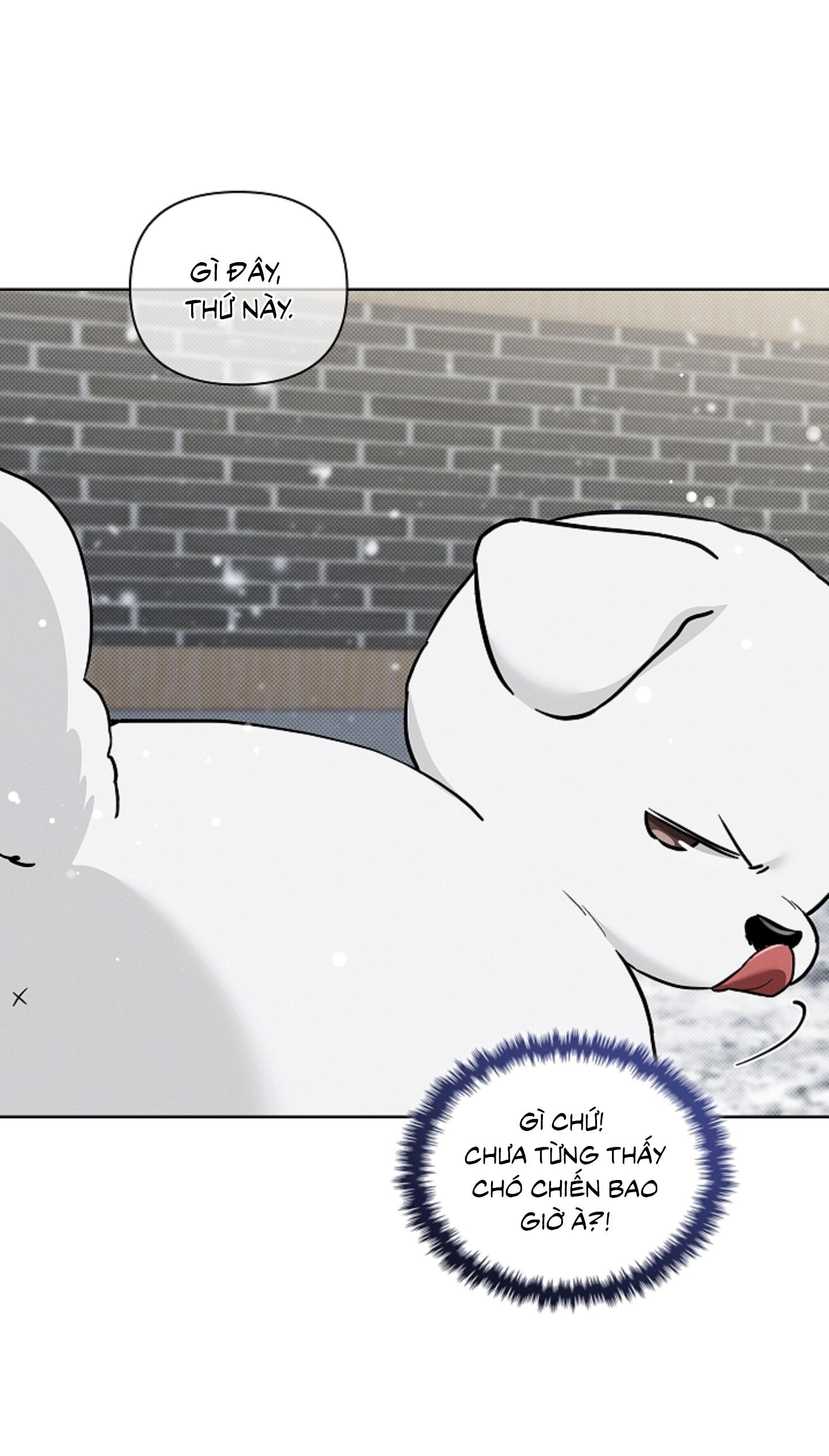 Đọc truyện ĐỪNG ĐỘNG VÀO CÚN CON! - Chapter 35